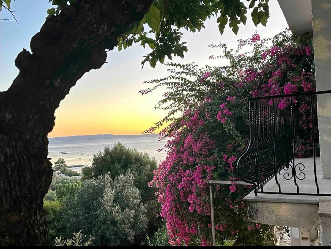 Villa Pinelopi Kalamáta Buitenkant foto